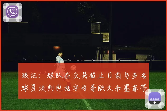 狼记:球队在交易截止日前与多名球员谈判包括字母哥欧文和墨菲等人