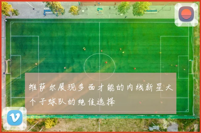 维萨尔展现多面才能的内线新星大个子球队的绝佳选择