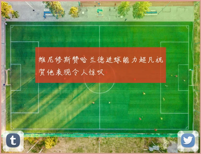 维尼修斯赞哈兰德进球能力超凡祝贺他表现令人惊叹