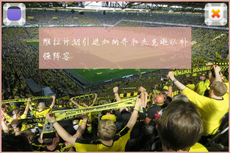 维拉计划引进加纳乔和杰克逊以补强阵容